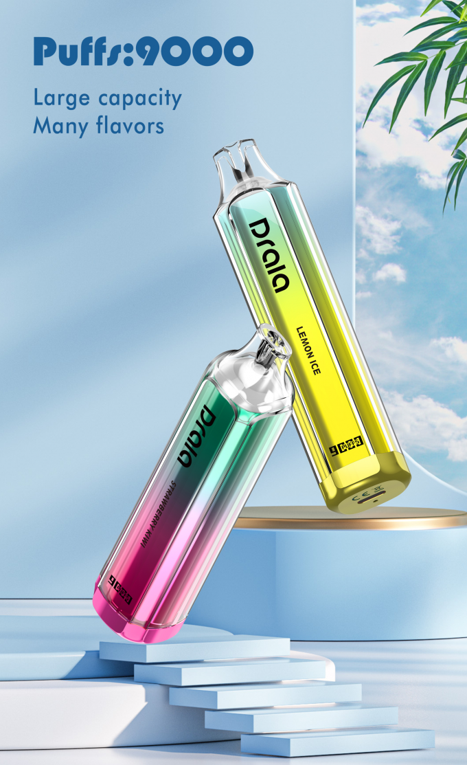 Cigarette assaisonnée rechargeable de Vape de 9000 souffles du dispositif jetable E de cosse 1