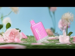 Drala 600/800 souffles Vape jetable parque la cigarette Vape de la saveur E de fruit